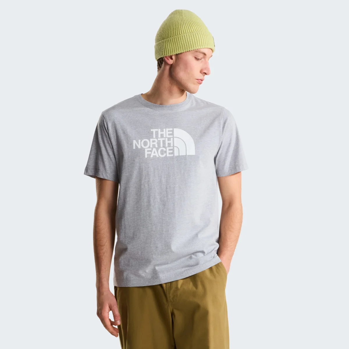 The North Face - T-shirt Evolution Half Dome Regular da uomo - immagine 6
